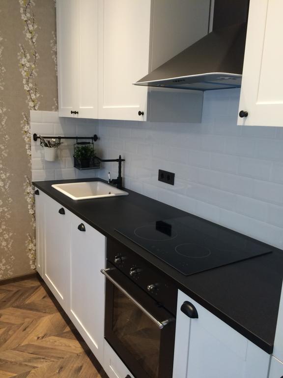 Luxury Apartment Druskininkai Kültér fotó